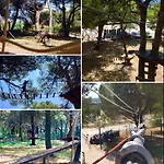 Camping #859 Status Relax No Stress Ex 757