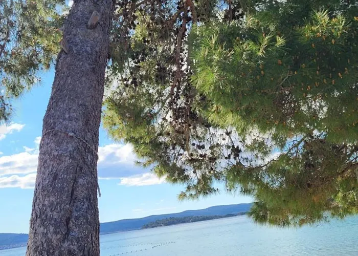 Camping #859 Status Relax No Stress Ex 757 Biograd Na Moru