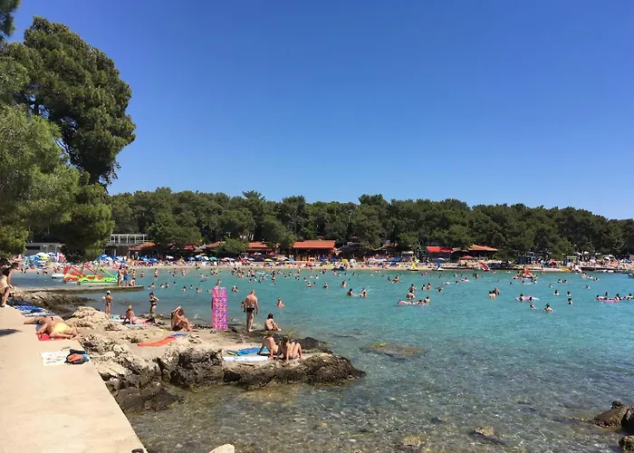 Camping #859 Status Relax No Stress Ex 757