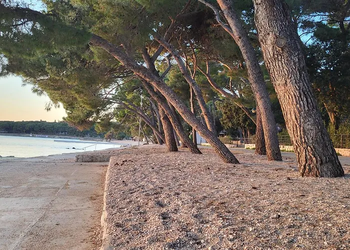 Camping #859 Status Relax No Stress Ex 757 Biograd Na Moru