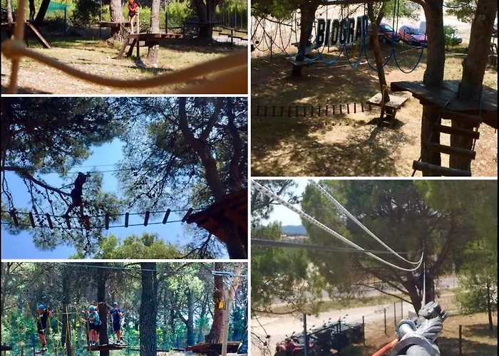 Camping #859 Status Relax No Stress Ex 757