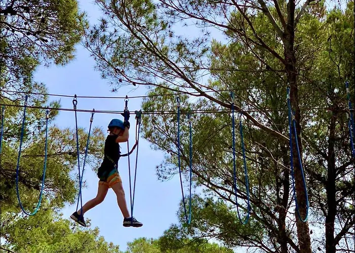 Camping #859 Status Relax No Stress Ex 757