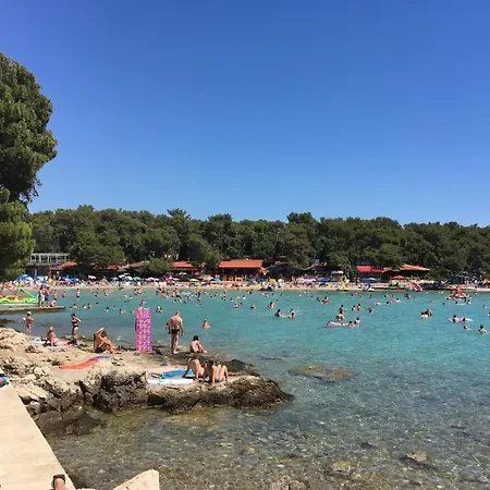 Campingplatz #757 Status Relax No Stress