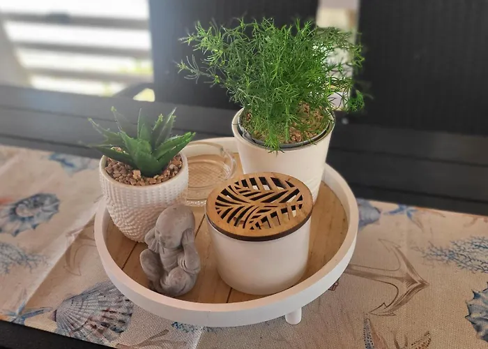 #757 Status Relax No Stress