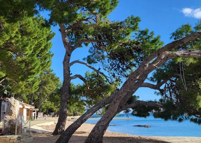 #757 Status Relax No Stress Biograd Na Moru