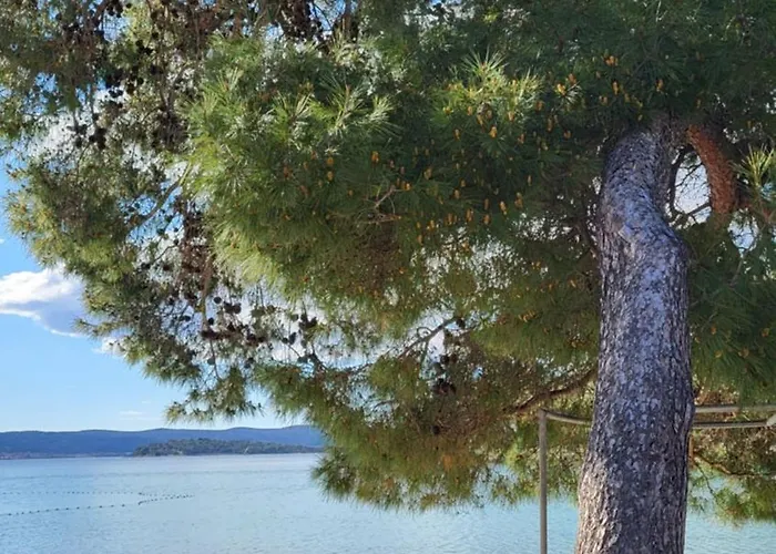 #757 Status Relax No Stress