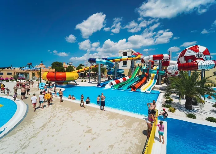 #757 Status Relax No Stress Kamp *